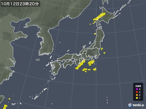 雷電雨|雷レーダー(予報)